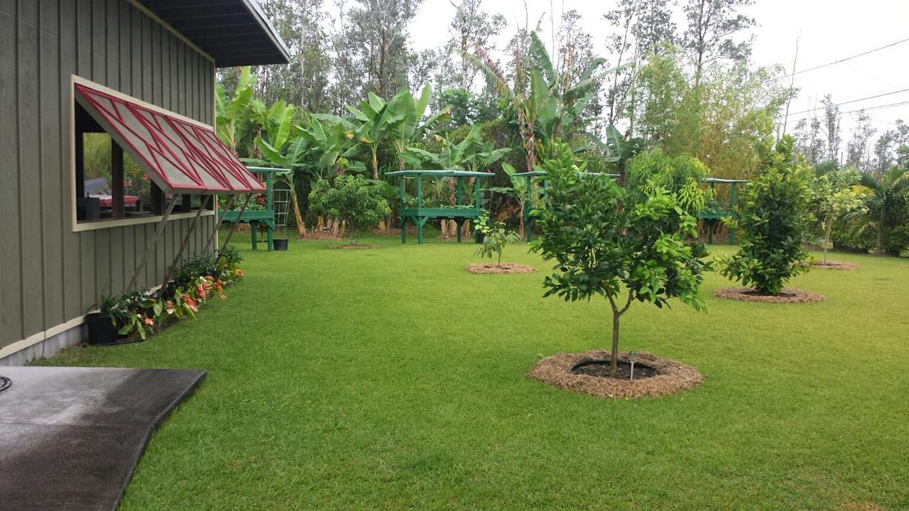 Вилла Robbrecht Troost Pottery Pahoa Экстерьер фото